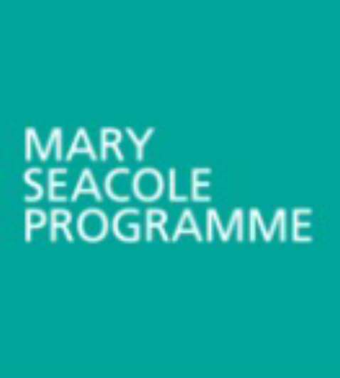 Mary Seacole Programme